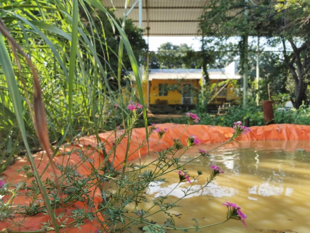 Hornbill Farm Resort Hyderabad Esterno foto