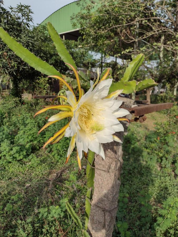 Hornbill Farm Resort Hyderabad Esterno foto
